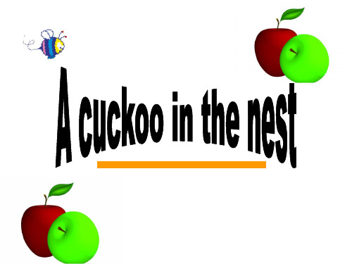 新概念青少版2B_unit17A cuckoo in the nest