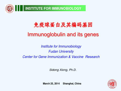 免疫学Ig及其编码基因课件