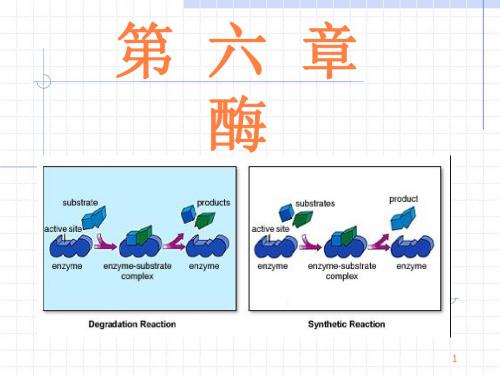 酶的基本性质及其作用ppt课件