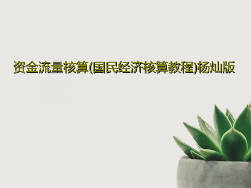 资金流量核算(国民经济核算教程)杨灿版共28页文档