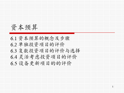 公司金融：资本预算