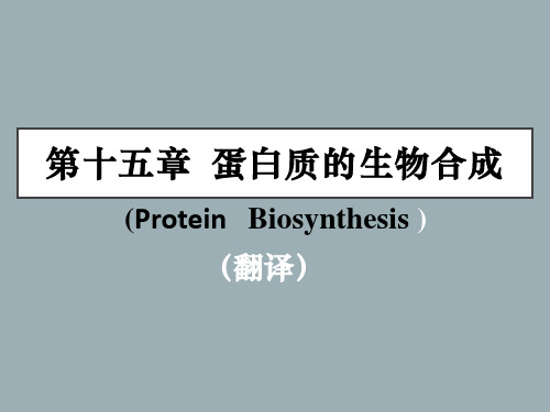 分子生物学第十五章  蛋白质的生物合成