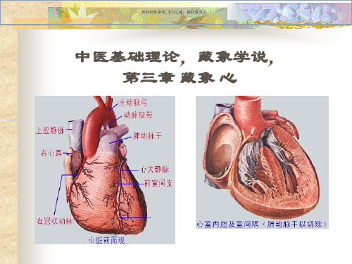 藏象学说藏象心中医学基础