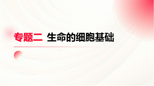 2024届高三二轮复习生物：生命的细胞基础(共34张ppt)