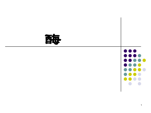 大学生物化学酶ppt课件