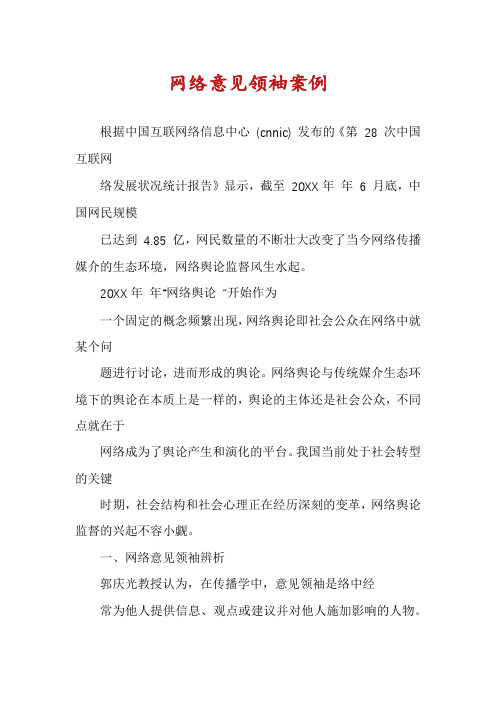 网络意见领袖案例