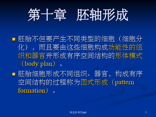 发育生物学第十章 果蝇的胚轴形成