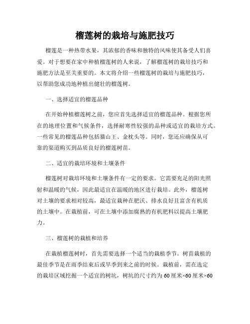 榴莲树的栽培与施肥技巧