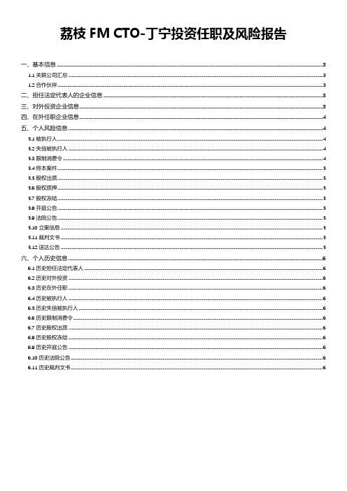 荔枝FM CTO-丁宁投资任职及风险报告