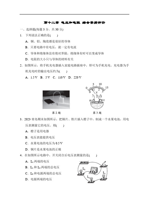 第十二章 电压和电阻 综合素质评价 鲁科版物理九年级上册(五四制)