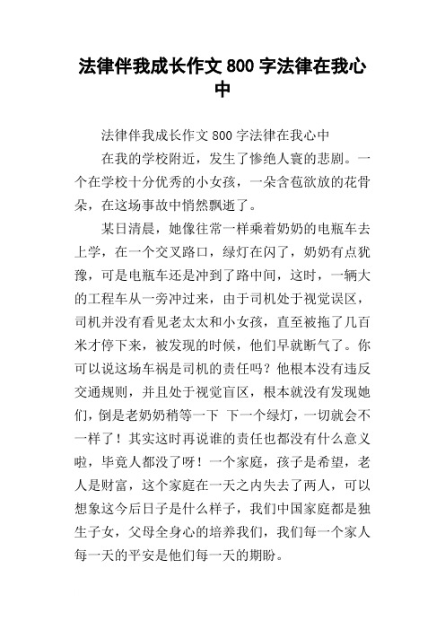 法律伴我成长作文800字法律在我心中