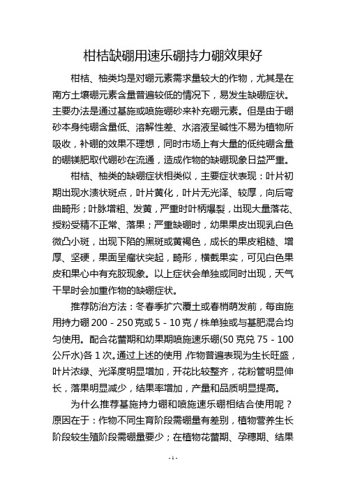 柑桔缺硼用速乐硼持力硼效果好