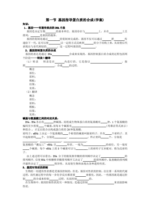 基因指导蛋白质的合成学案 