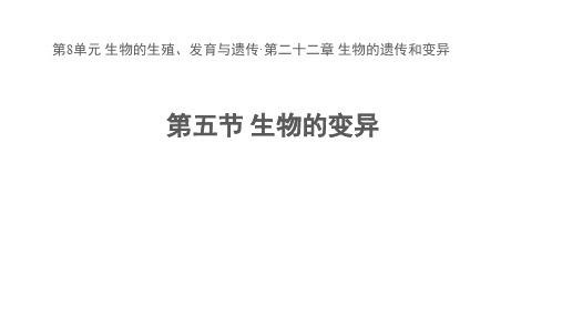 2020--2021学年苏教版八年级生物下册第8单元第22章第五节 生物的变异 课件