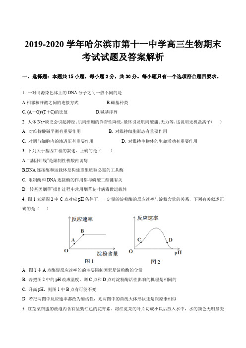 2019-2020学年哈尔滨市第十一中学高三生物期末考试试题及答案解析