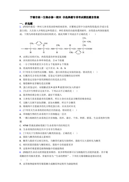 宁德市高一生物必修一期末 非选择题专项考试模拟题含答案