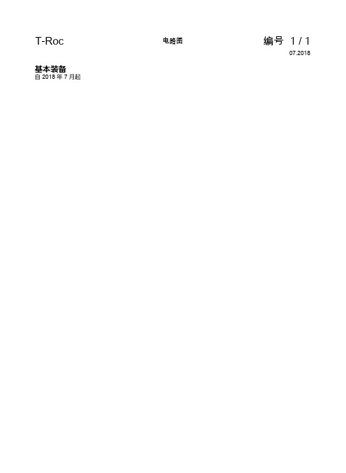 2019年大众探歌电路图+基本装备(1)