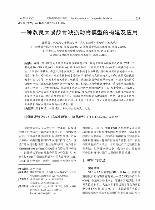 一种改良大鼠颅骨缺损动物模型的构建及应用