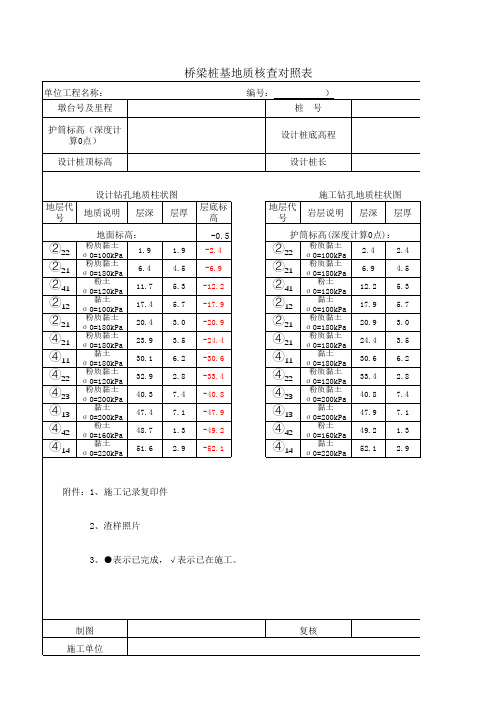 地质核查表样表 - 副本