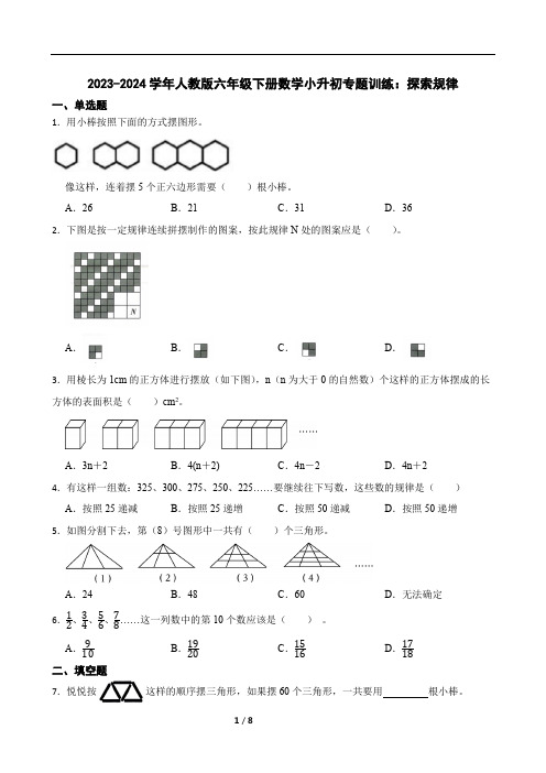 2023-2024学年人教版六年级下册数学小升初专题训练：探索规律(含答案)