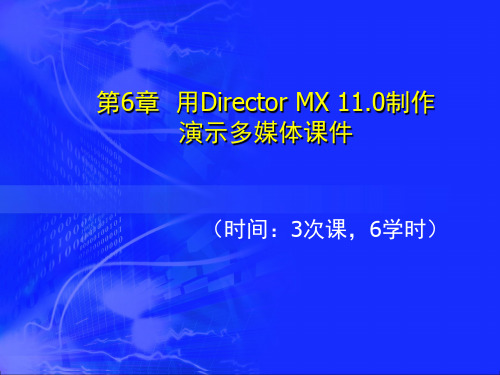 Director课件