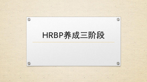 HRBP养成三阶段