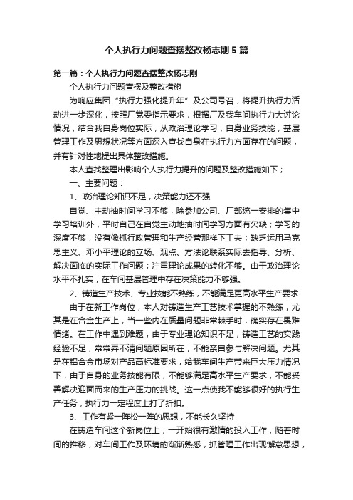 个人执行力问题查摆整改杨志刚5篇