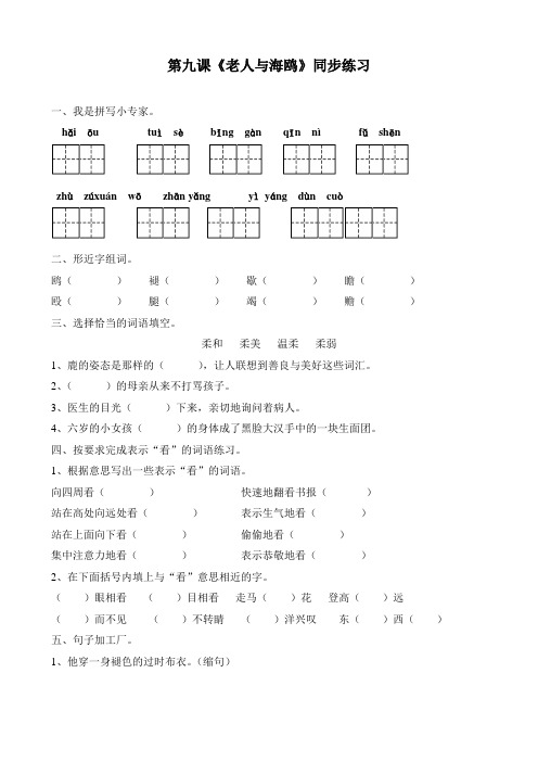 五年级语文下册第二单元 9.《老人与海鸥》一课一练word(S版)