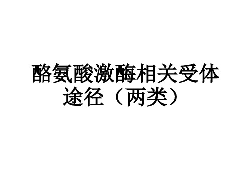 酪氨酸激酶相关受体途径(两类)