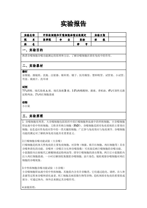 中性粒细胞和巨噬细胞吞噬功能测定