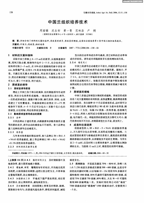 中国兰组织培养技术