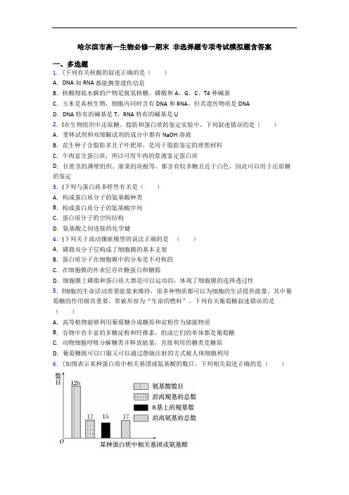 哈尔滨市高一生物必修一期末 非选择题专项考试模拟题含答案