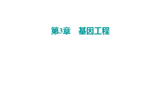 高中生物新人教版选择性必修3基因工程的应用课件(18张)