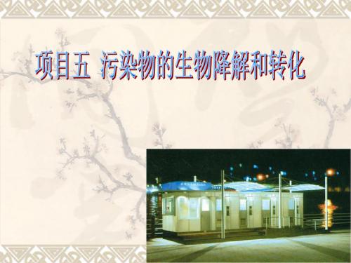 污染物的生物降解和转化