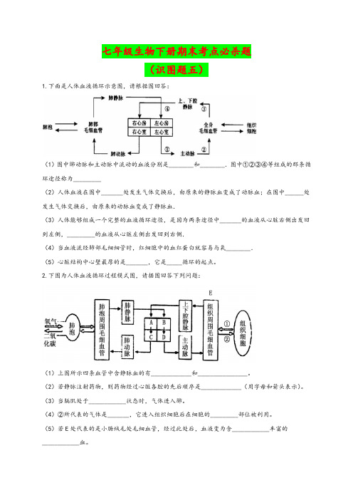 (人教版)最新七年级生物下学期期末考点必杀题：识图题五(含答案解析)