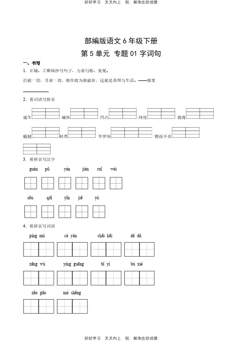 部编版语文六年级下册第五单元专题01字词句测试试卷(含答案)