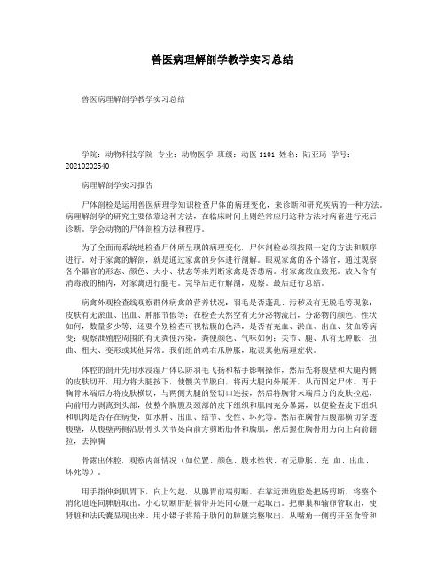 兽医病理解剖学教学实习总结