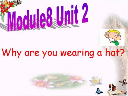 六年级英语下册Module8Unit2《Whyareyouwearingahat》 优秀课件1(新版)外研版(一起)