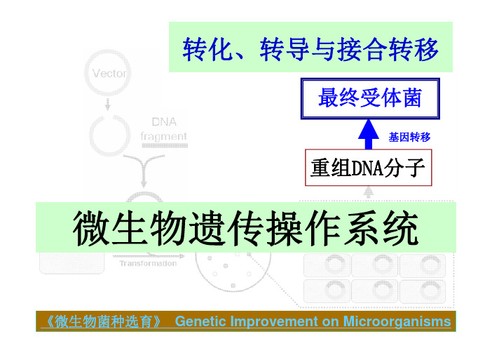 微生物遗传操作系统