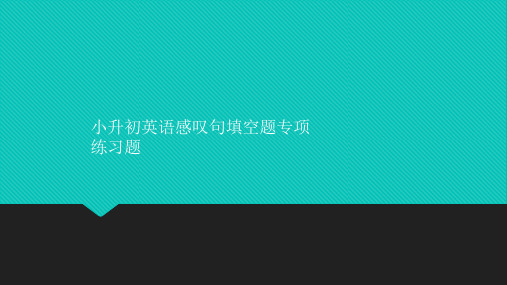 小升初英语感叹句填空题专项练习题