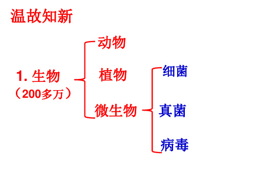 生物济南版七年级上册第二节生物的生活环境PPT课件