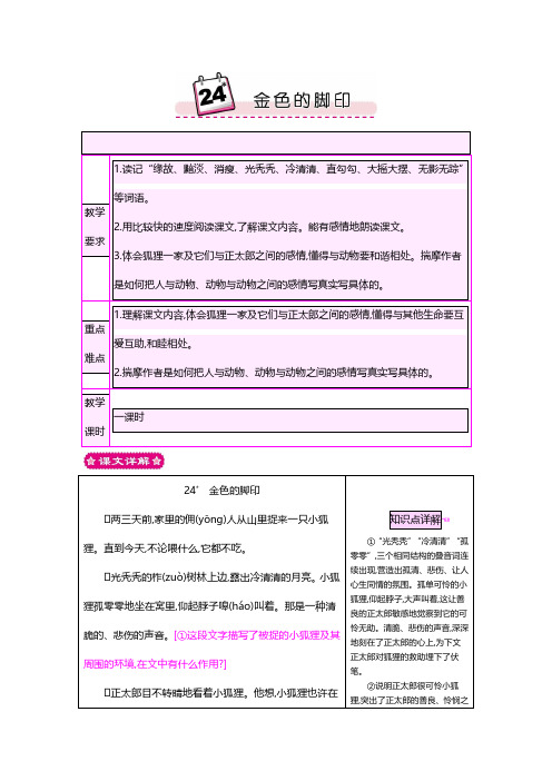 最新人教版六年级语文上册 24金色的脚印 教案