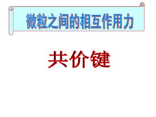 苏教版高中化学必修二 1.2.2共价键  课件(共16张PPT)