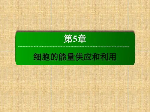 【红对勾】高中生物 第5章 细胞的能量供应和利用章末整合与评估名师精编课件 新人教版必修1
