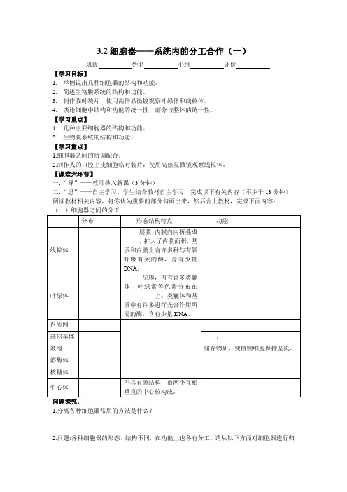 细胞器——系统内的分工合作