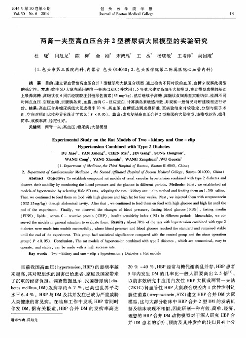 两肾一夹型高血压合并2型糖尿病大鼠模型的实验研究