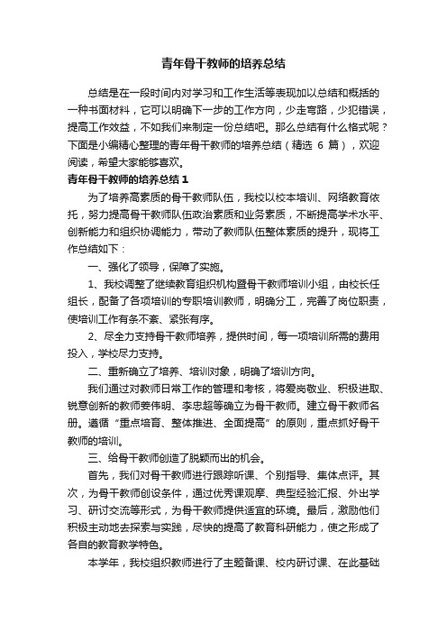 青年骨干教师的培养总结(精选6篇)