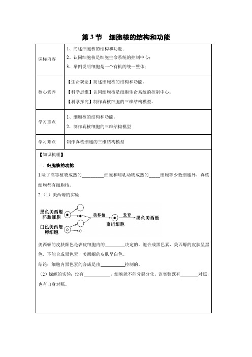 学案6：3.3 细胞核的结构和功能