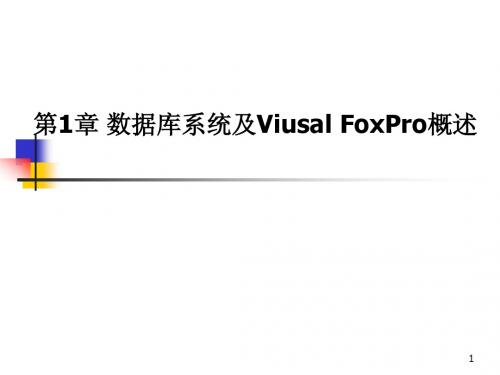 计算机二级vfp1