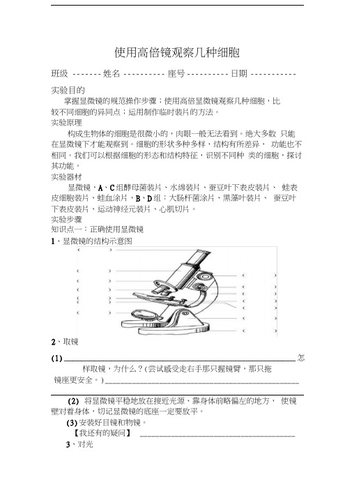 使用高倍显微镜观察几种细胞实验报告